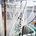 <span class="title">1/24（土）サクラマス釣り</span>