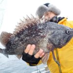 <span class="title">1/27（火）沖根五目釣り</span>