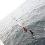 <span class="title">3/16（月）浮きソウハチ釣り</span>